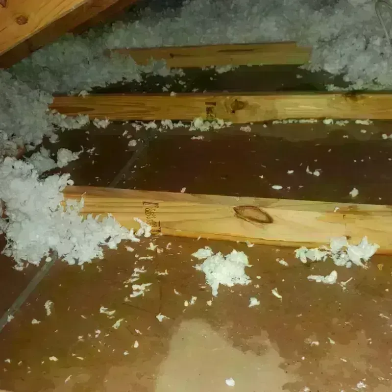 Attic Water Damage in Inman, SC