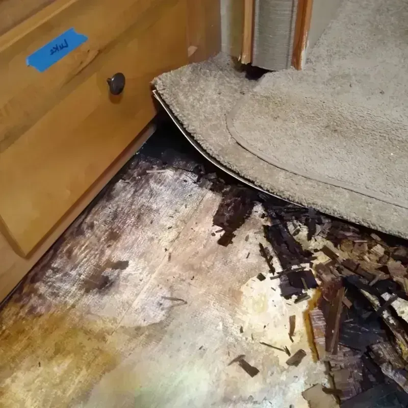 Wood Floor Water Damage in Inman, SC